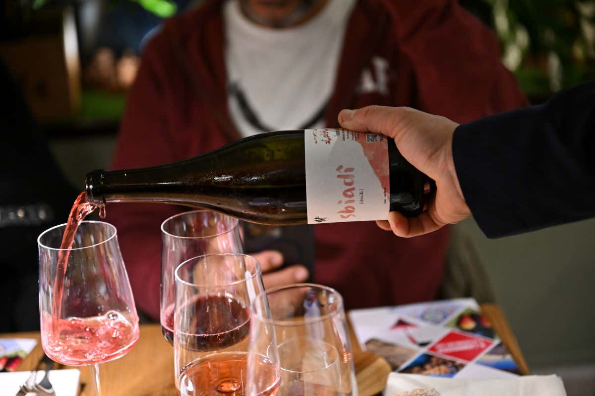 Ristorante Classico: Lambrusco e cucina partenopea, un mix perfetto